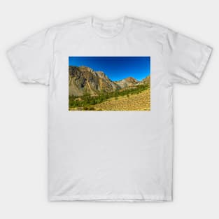 Tioga Pass, Yosemite National Park T-Shirt